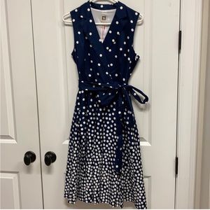 Anne Klein vintage inspired tea length dress